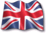 View the site in English